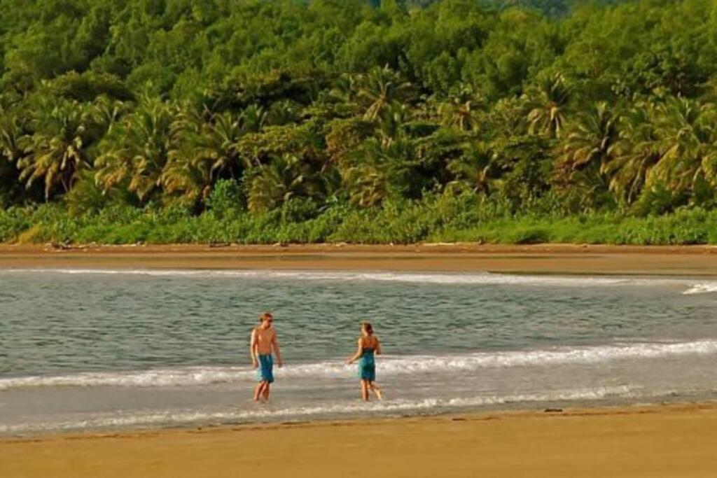 Bungalows Baobab San Isidro De El General 外观 照片