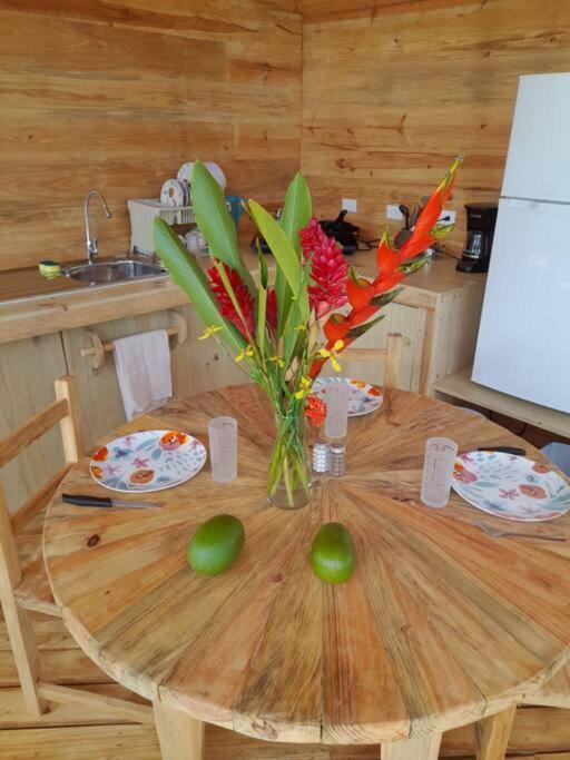 Bungalows Baobab San Isidro De El General 外观 照片